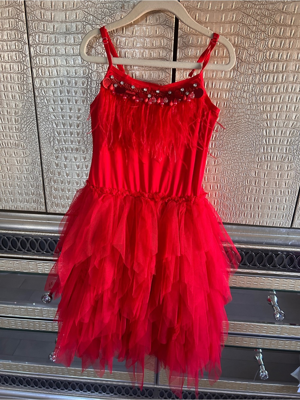 Red Tulle Layered Party Dress with Beaded Feather Trim
